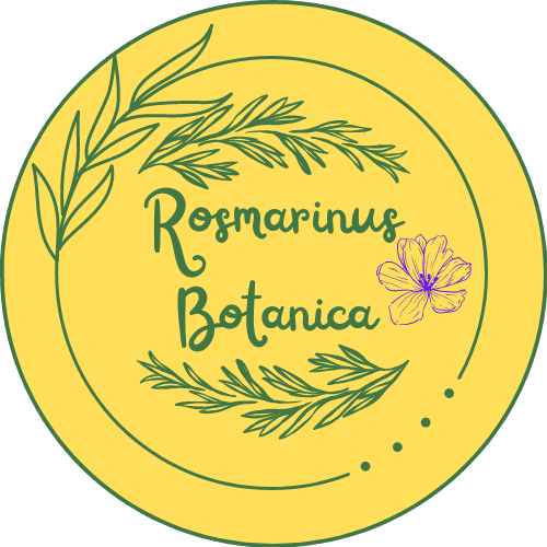 Logo Rosmarinus Botanica
