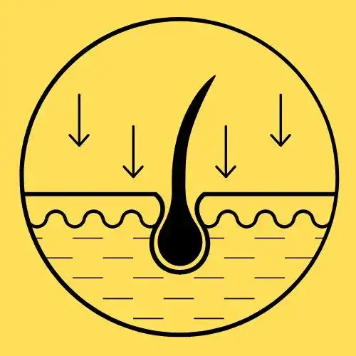 Huile-soutient-capillaire